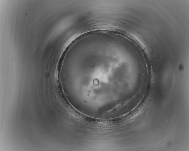 X0000095520883200712211300