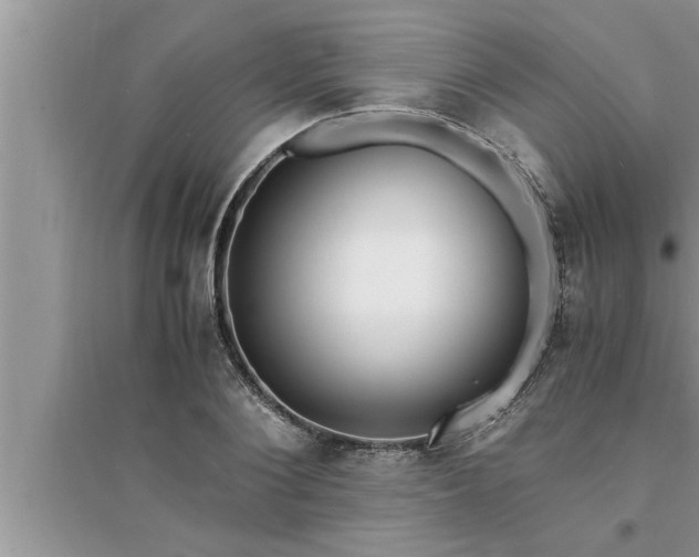 X0000095520884200712211300