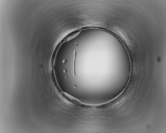 X0000095520885200712211300