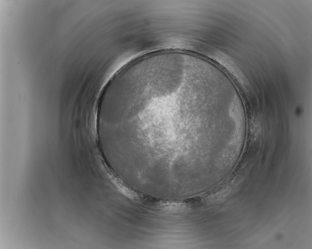 X0000095520886200712211300