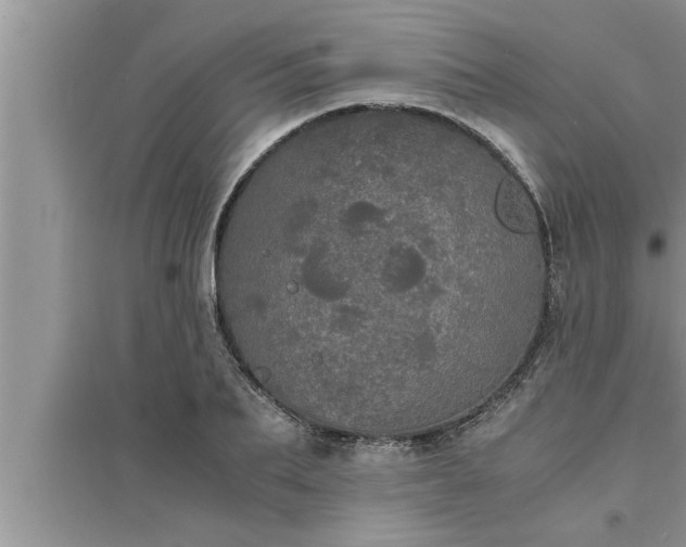 X0000095520887200712211300