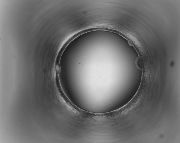 X0000095520888200712211300