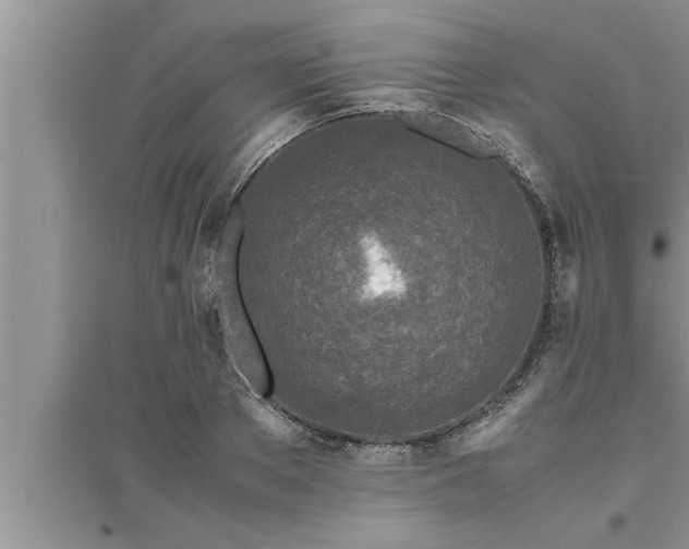 X0000095520889200712211300