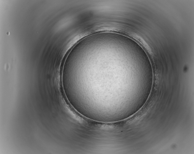 X0000095520890200712211300