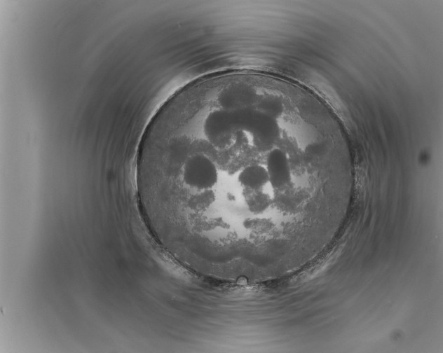 X0000095520891200712211300