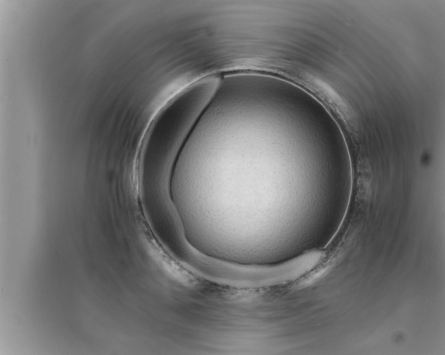 X0000095520892200712211300