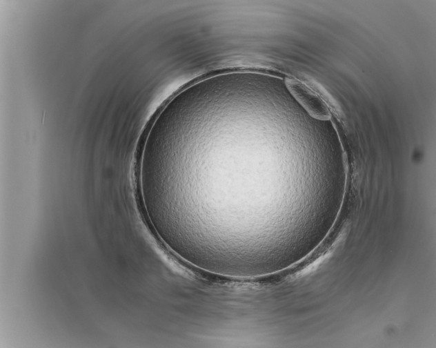 X0000095520893200712211300