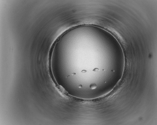 X0000095520894200712211300