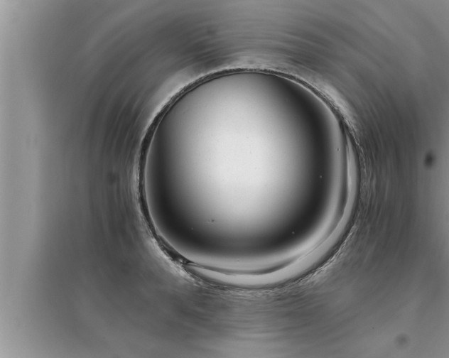 X0000095520896200712211300