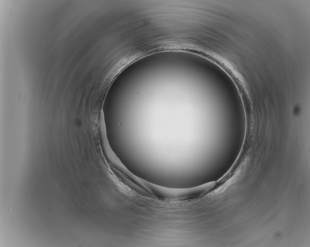 X0000095520897200712211300