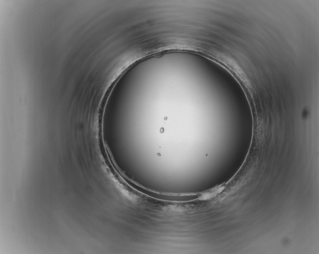 X0000095520898200712211300