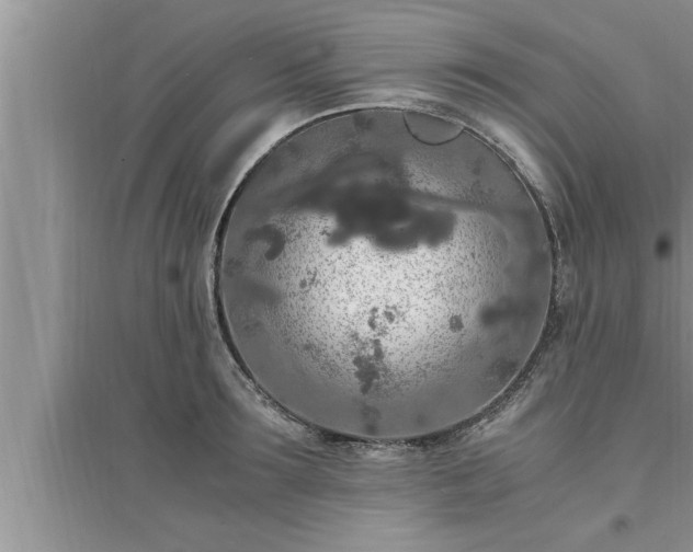 X0000095520899200712211300