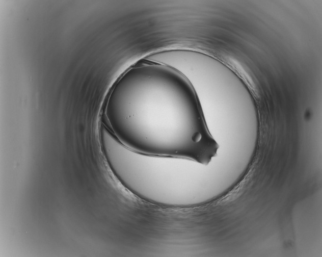 X0000095520900200712211300