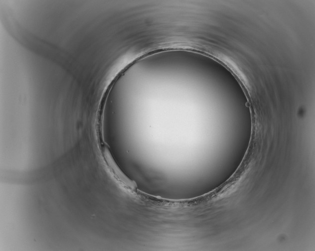 X0000095520901200712211300