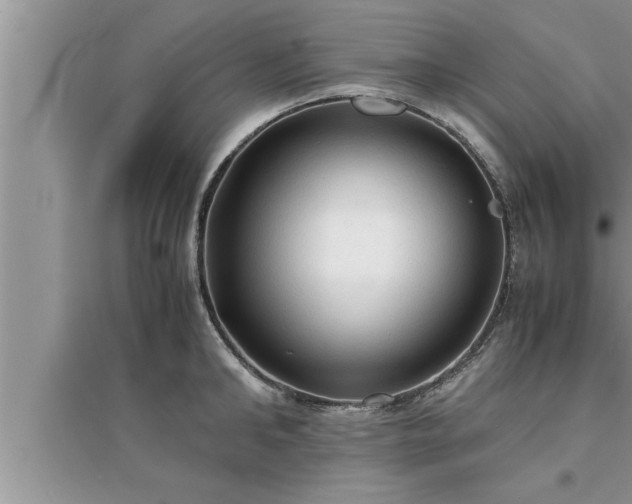 X0000095520902200712211300