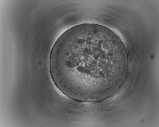 X0000095520903200712211300