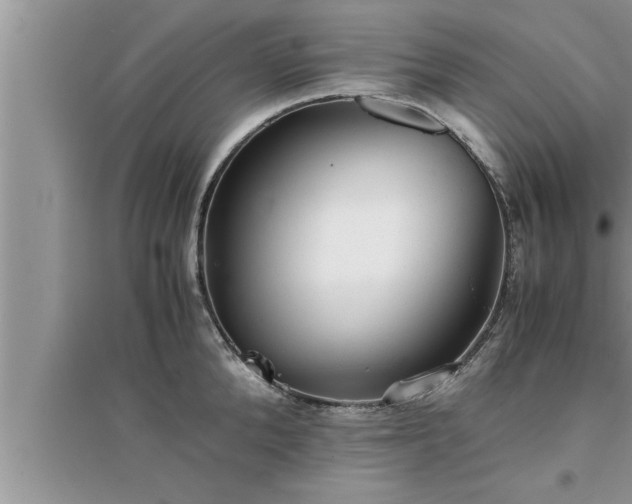 X0000095520904200712211300