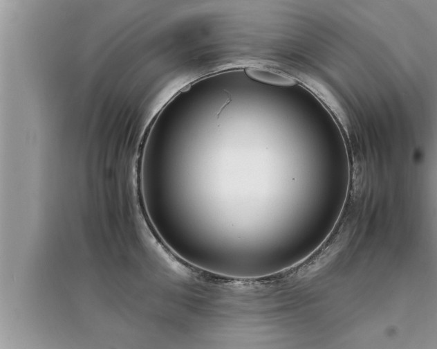 X0000095520906200712211300