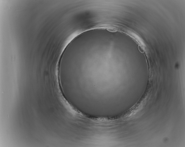 X0000095520907200712211300