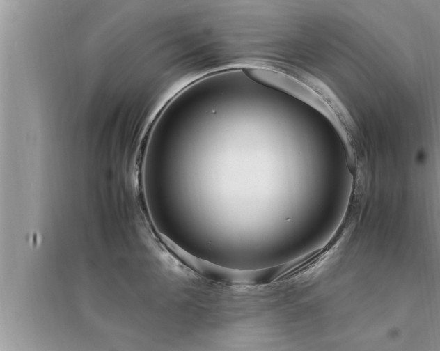 X0000095520908200712211300