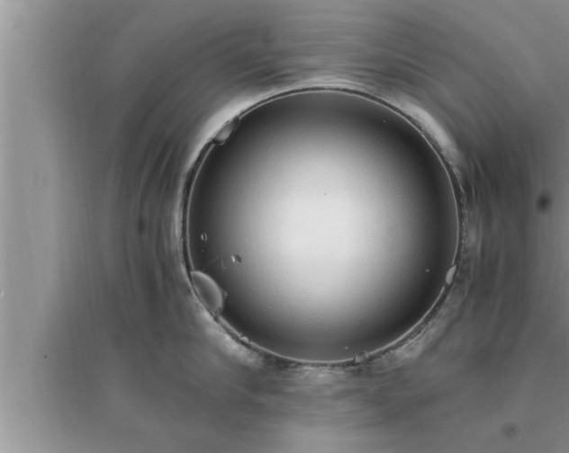 X0000095520910200712211300