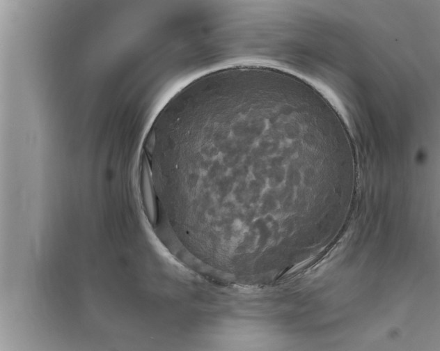 X0000095520911200712211300