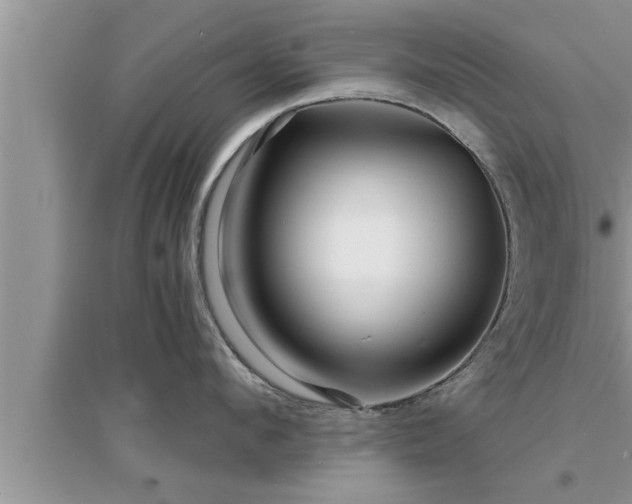 X0000095520912200712211300