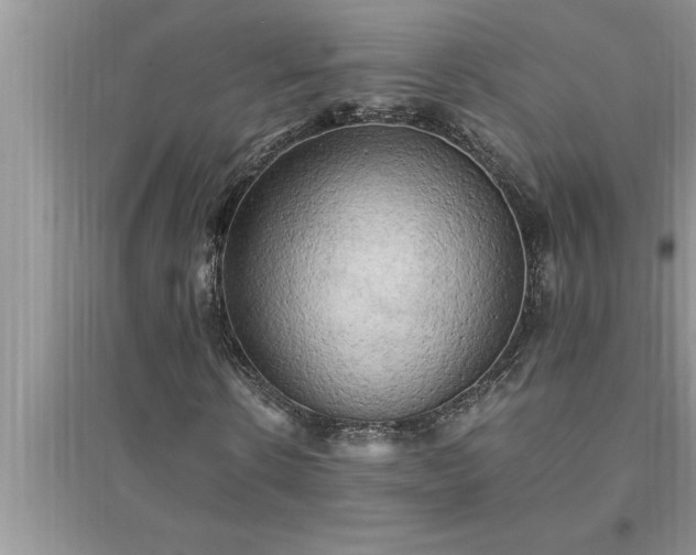 X0000095520914200712211259