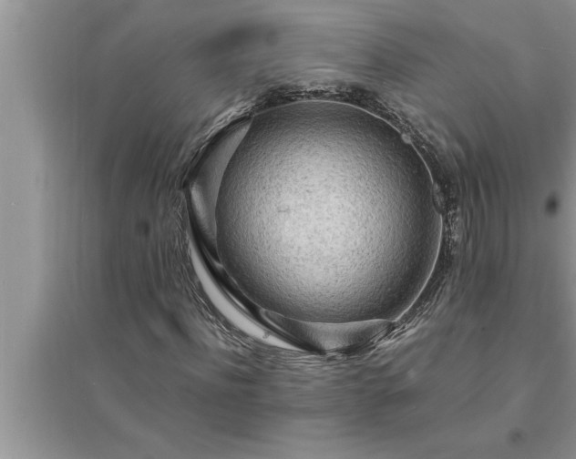 X0000095520916200712211259