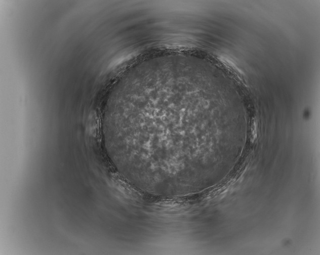 X0000095520917200712211259