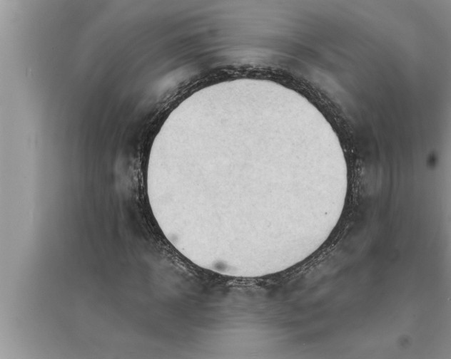 X0000095520918200712211259