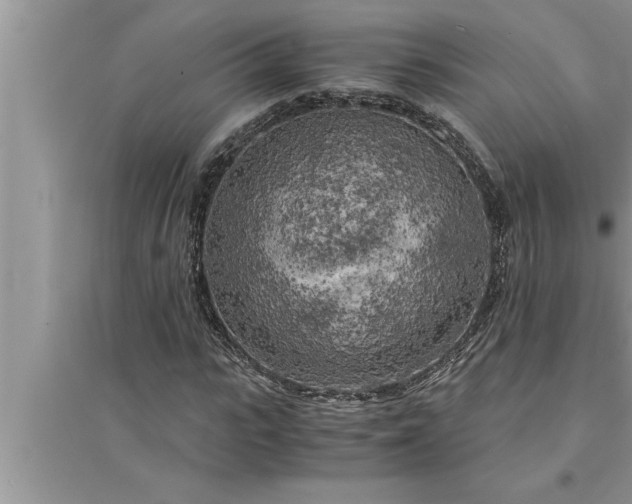 X0000095520919200712211259