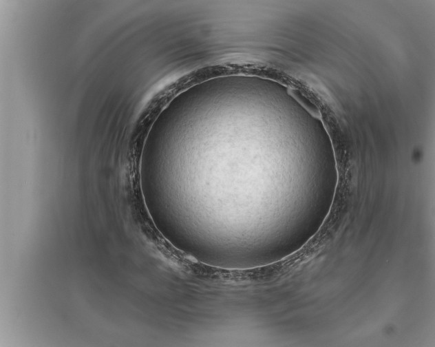 X0000095520920200712211259