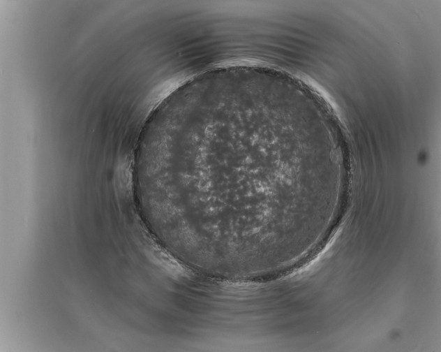 X0000095520921200712211259