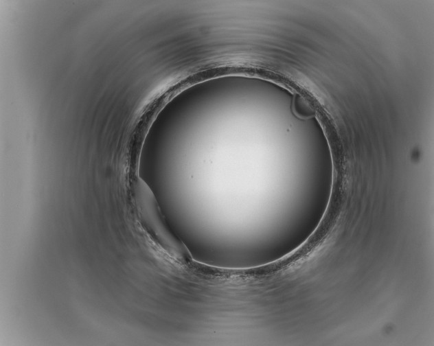 X0000095520922200712211259