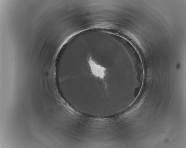 X0000095520923200712211259