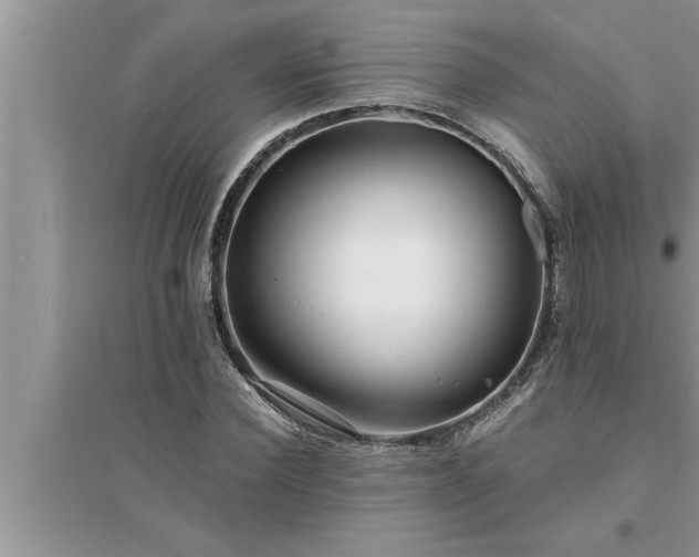 X0000095520924200712211259