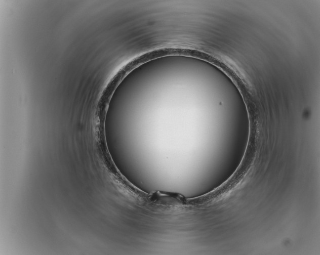 X0000095520926200712211259