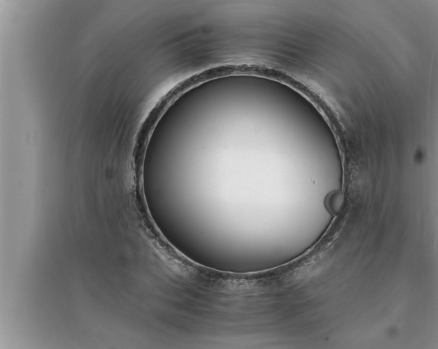 X0000095520927200712211259