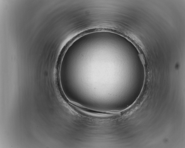 X0000095520928200712211300