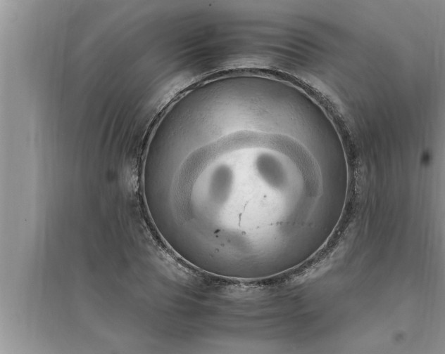 X0000095520929200712211300