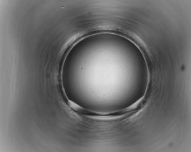 X0000095520930200712211300