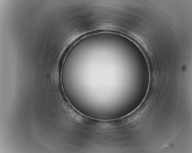 X0000095520931200712211300