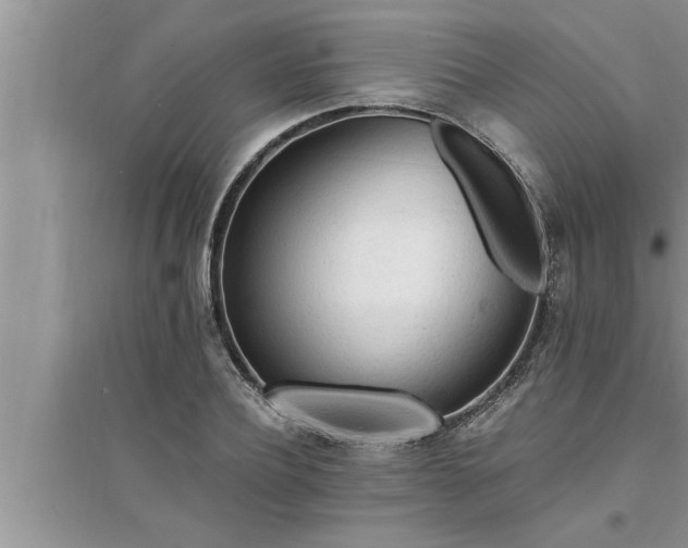 X0000095520932200712211300