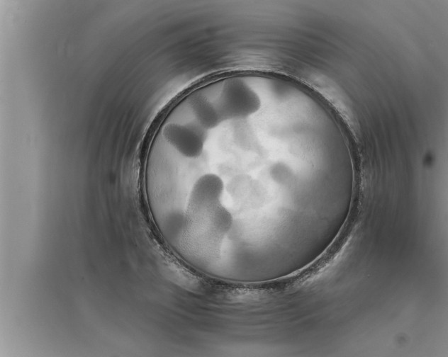 X0000095520933200712211300