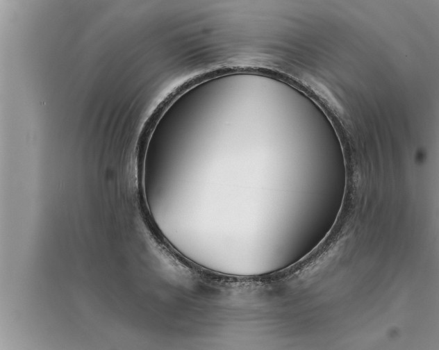 X0000095520934200712211300