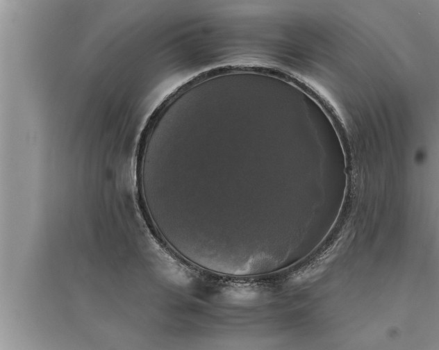 X0000095520935200712211300