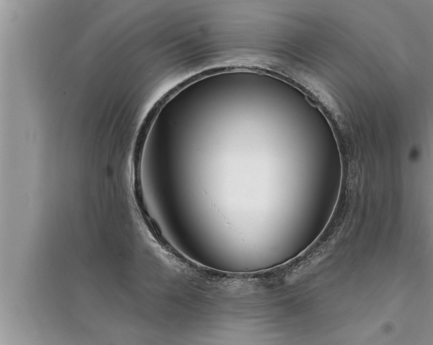 X0000095520936200712211300