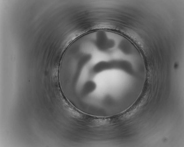 X0000095520937200712211300