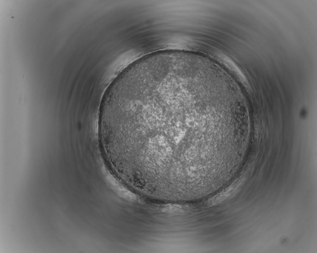 X0000095520938200712211300